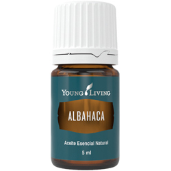 Aceite Esencial Albahaca